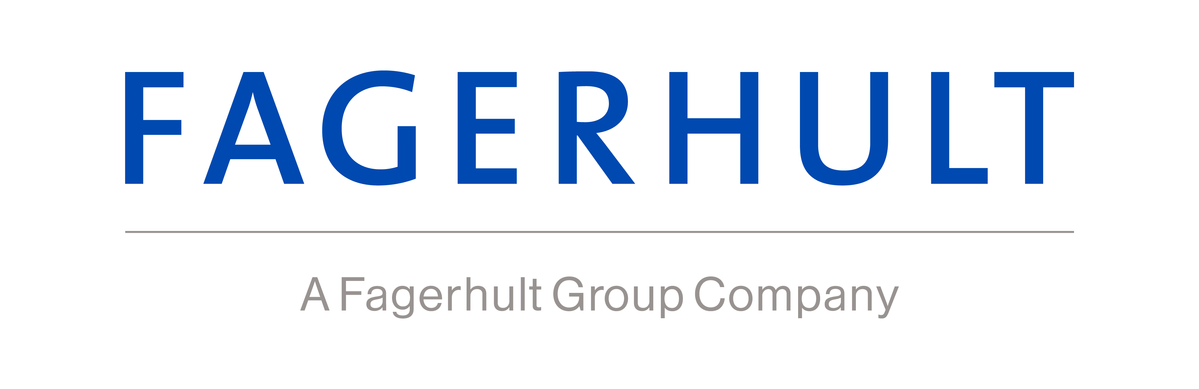 Fagerhult Group